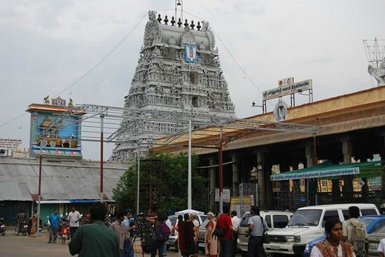 parthasarathy temple